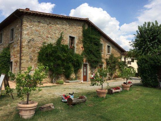 Agriturismo Relais Poggio Primo Borro Luaran gambar